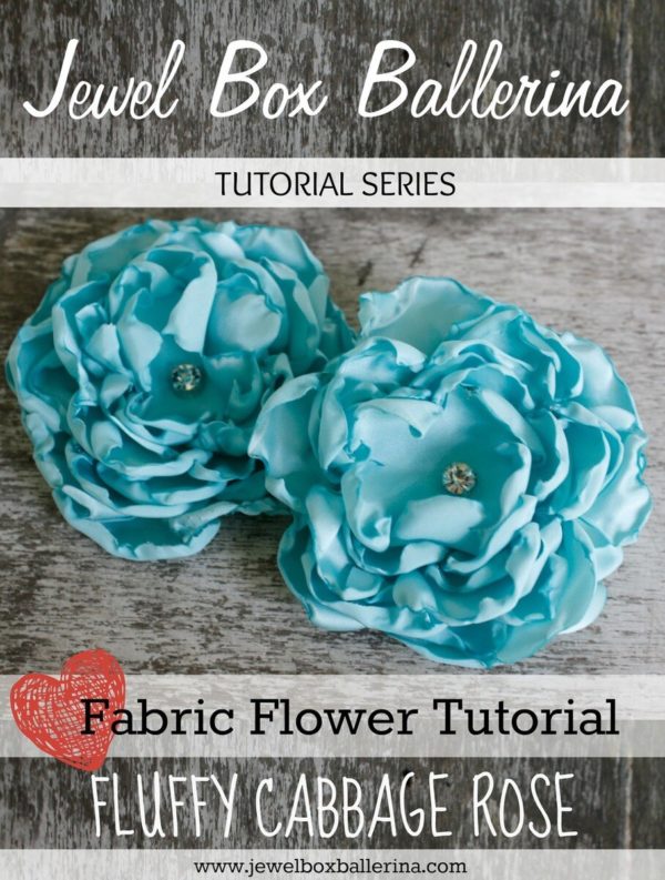 Fluffy Cabbage Rose